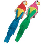 20" Parrot Assorted