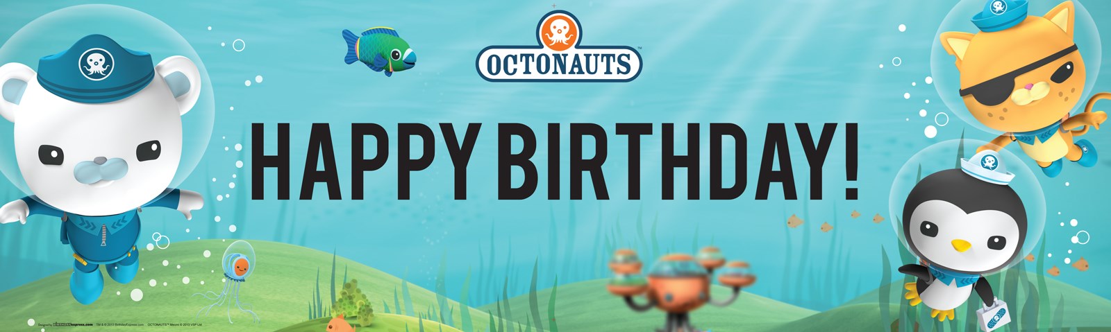 Octonauts Birthday Banner | BirthdayExpress.com